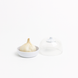 Creative Cooking Garlic Saver In Clear/White