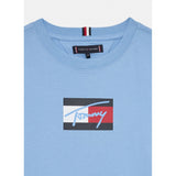Tommy Hilfiger Boys Script Flag Print T-Shirt In Blue