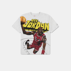 Jordan Boys Slam Duck T-shirt In Birch Heather