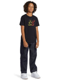 DC Boys Ball Point T-Shirt In Black