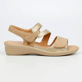 Butterfly Feet Ladies Chrissy 4 Shoes In Champagne