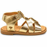 Flutterby Girls Ariel 2 Infants Shoes in Gold
