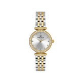 Daniel Klein Ladies Silver Dial Watch In Gold & Silver