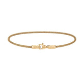 Daniel Wellington Gold Mesh Bracelet