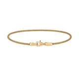 Daniel Wellington Gold Mesh Bracelet