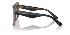Dolce & Gabbana Sunglasses For Women In Havana