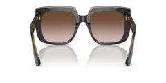 Dolce & Gabbana Sunglasses For Women In Havana