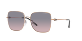 Emporio Armani Unisex Shiny Sunglasses In Rose Gold