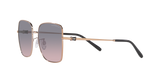 Emporio Armani Unisex Shiny Sunglasses In Rose Gold