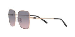 Emporio Armani Unisex Shiny Sunglasses In Rose Gold
