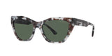 Emporio Armani Havana Womens Sunglasses In Grey