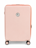 Evolution Executive Business Case In Pink