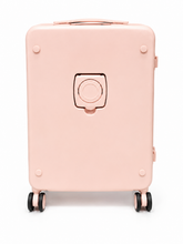 Evolution Executive Business Case In Pink