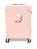 Evolution Executive Business Case In Pink