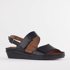 Froggie Ladies Lea Jumper Sandals Black