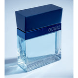 Guess Seductive Homme Blue