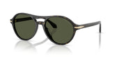 Giorgio Armani Ladies Sunglasses In Havana