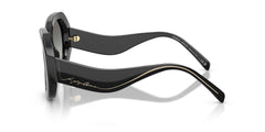 Giorgio Armani Round Sunglasses For Ladies In Black