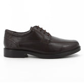 Hush Puppies Mens Pisces Lace Up Crust Leather Shoes In Brown