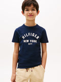 Tommy Hilfiger Unisex Curved Graphic T-Shirt In Navy