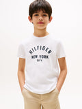 Tommy Hilfiger Unisex Curved Graphic T-Shirt In White