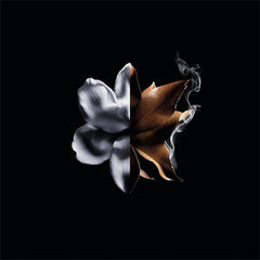 Givenchy Linterdit Eau De Parfum Intense 80M