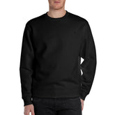 Replay Mens Sweatshirts In Black