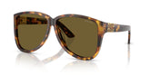 Miu Miu Womens Sunglasses In Brown