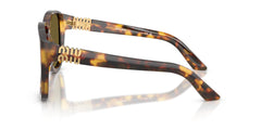 Miu Miu Womens Sunglasses In Brown