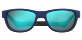 Polaroid Sunglasses For Men In Blue