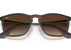 Ray-Ban Chris Unisex Sunglasses In Brown