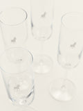 Polo Champagne Flute Glasses 4 Piece Set in Transparent
