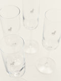 Polo Champagne Flute Glasses 4 Piece Set in Transparent
