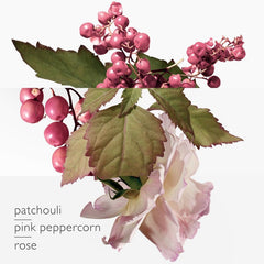 Hermes Fragrance Twilly Eau Poivree Edp 50Ml