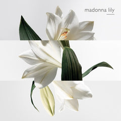 Hermes Sur La Lagune Edt 100Ml