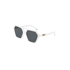 Tiffany Sunglasses 4198 83573F 58 Wht/Gry