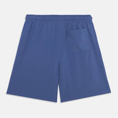 Converse Boys Woven Skater Shorts In Indigo