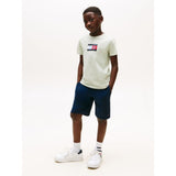 Tommy Hilfiger Boys Script Flag Print In Sage