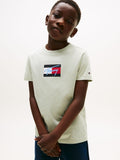 Tommy Hilfiger Boys Script Flag Print In Sage