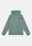 Puma Unisex Essential Small No.1 Logo Hoodie