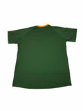Asics Mens Springboks Fan Tee Rugby World Cup 2019 In Green