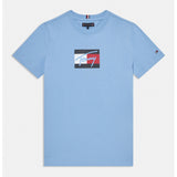 Tommy Hilfiger Boys Script Flag Print T-Shirt In Blue