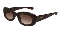 Alexander Mcqueen Sunglasses Womens In Havana Brown AM0527S-002