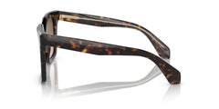 Giorgio Armani Womens Sunglasses In Dark Brown