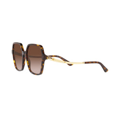 Bvlgari Womens Sunglasses In Havana