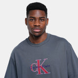 Calvin Klein Mens Tricolor Monologo Graphic T-Shirt In Charcoal