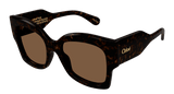 Chloe Sunglasses Woman Havana Brown Ch0252S-002