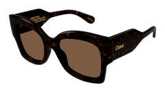 Chloe Sunglasses Woman Havana Brown Ch0252S-002