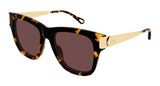 Chloe Sunglasses Womens In Havana Gold Brown CH0349S-003