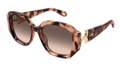 Chloe Sunglasses Womens in Havana Orange CH0236S-005